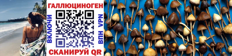 Купить закладки  Сорск  Галлюциногенные грибы MAGIC MUSHROOMS 